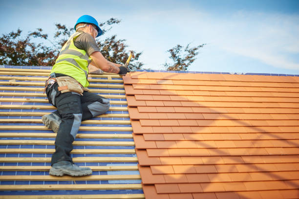 Best Skylight Installation and Repair  in Bloomingdale, IL