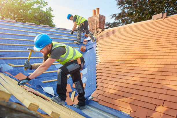 Best Green or Eco-Friendly Roofing Solutions  in Bloomingdale, IL