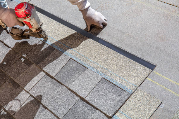 Professional Roofing services in Bloomingdale, IL